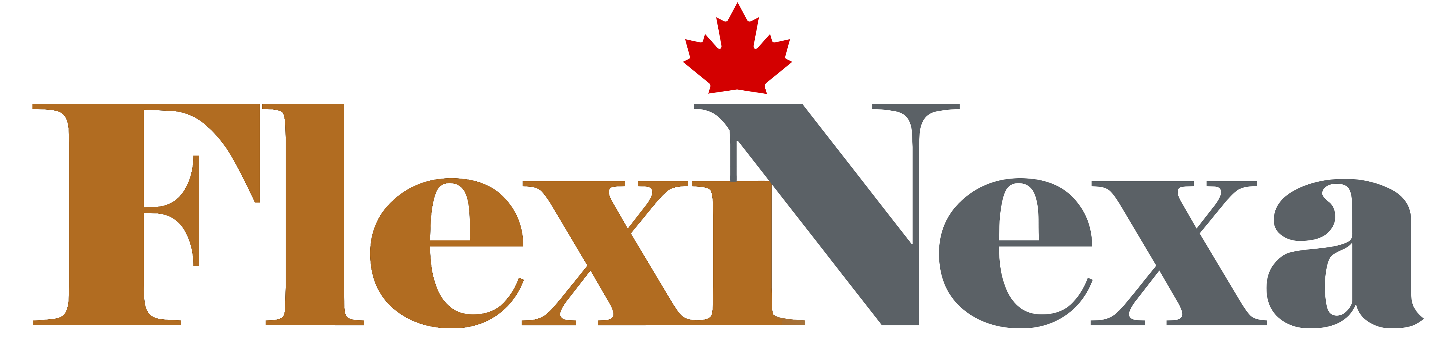 Flexinexa Logo
